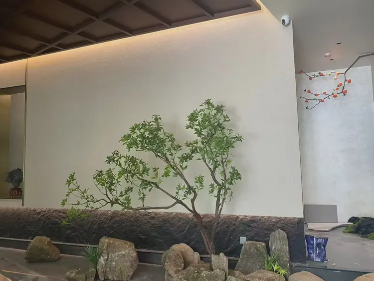 脊线石5