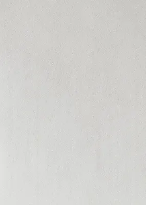 月光石 竹炭木饰面板 6335